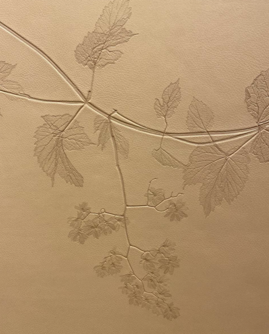 A plant signature